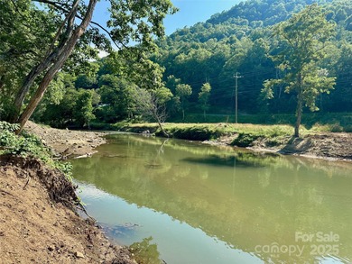 (private lake, pond, creek) Acreage For Sale in Spruce Pine North Carolina