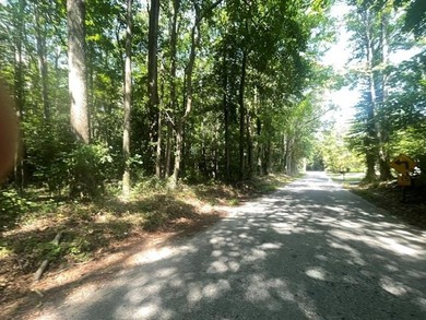 A lovely property in the Northern Neck where peace and quiet can - photo 3