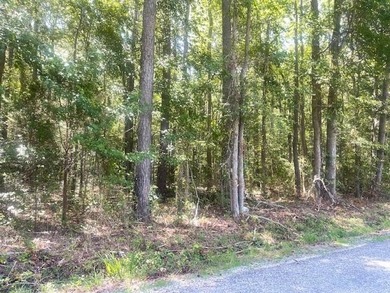 A lovely property in the Northern Neck where peace and quiet can - photo 4