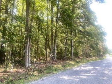 A lovely property in the Northern Neck where peace and quiet can - photo 5