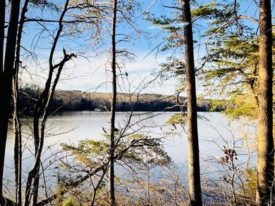 Beautiful WATERFRONT property in Pittsylvania County on the Main - photo 2
