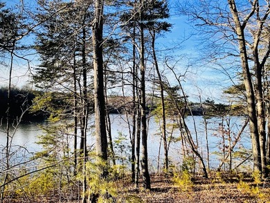 Beautiful WATERFRONT property in Pittsylvania County on the Main - photo 3