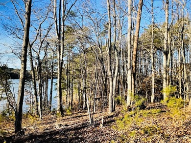 Beautiful WATERFRONT property in Pittsylvania County on the Main - photo 4
