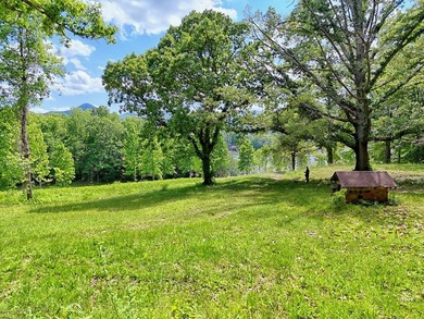 **Unique, large 8.24 acre lakefront tract in the heart of - photo 5