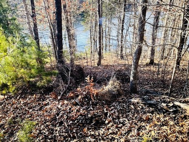 Beautiful WATERFRONT property in Pittsylvania County on the Main - photo 5