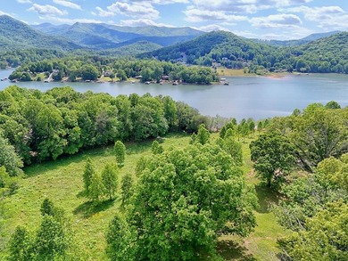 **Unique, large 8.24 acre lakefront tract in the heart of - photo 6