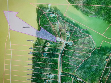 Beautiful WATERFRONT property in Pittsylvania County on the Main - photo 6