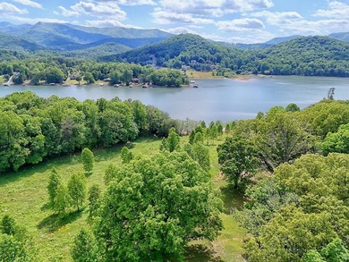 **Unique, large 8.24 acre lakefront tract in the heart of - photo 7