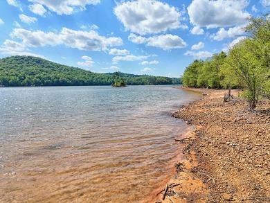 **Unique, large 8.24 acre lakefront tract in the heart of - photo 8