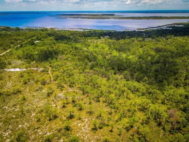 Lake Istokpoga Lot For Sale in Lake Placid Florida
