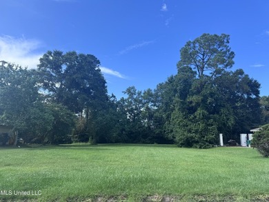 Build Your Dream Home in a Prime Location! This fully cleared - photo 1