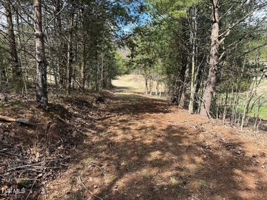 3.05 acres in Mohawk, TN offering a beautiful country setting - photo 11
