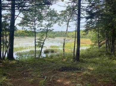 Lake Lot For Sale in Waterloo, 