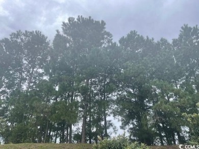 A lot 1.55 acres zoned for single family, mobile or modular - photo 1