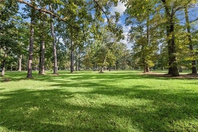 Tucked away with 18.4 acres on the navigable deep water - photo 6