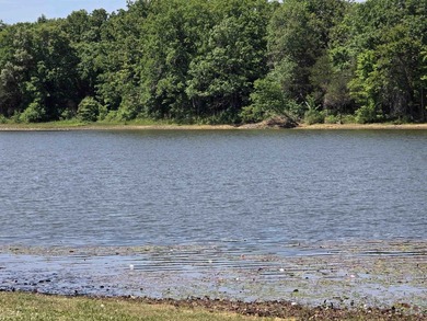 North Lake  Lot For Sale in Horseshoe Bend Arkansas