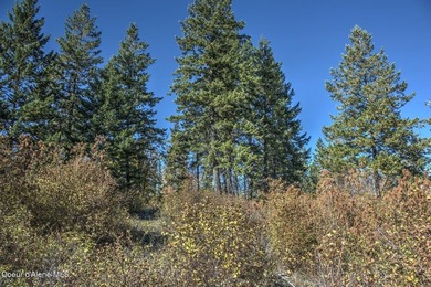 Elevated high above Lake Pend Oreille, this extraordinary - photo 27