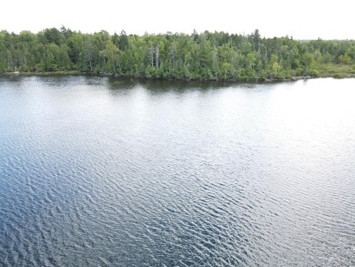 Lake Acreage For Sale in Monson, Maine
