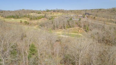 Toccoa River Lot For Sale in Mineral Bluff Georgia