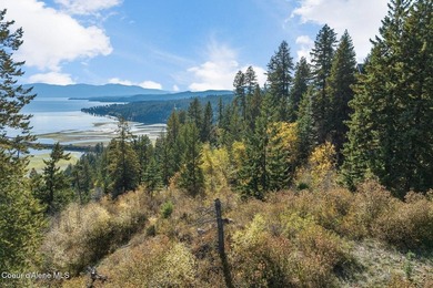 Elevated high above Lake Pend Oreille, this extraordinary - photo 32