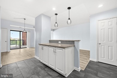 Welcome to Unit 506 at Anchorage Tower-move-in ready waterfront - photo 6