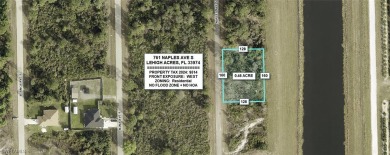 Lehigh Acres Area Lot For Sale in Lehigh Acres Florida
