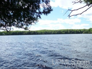 (private lake, pond, creek) Acreage For Sale in Amasa Michigan