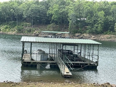 LAKEFRONT CABIN WITH 2 STALL PRIVATE DOCK & approx. 242 feet of - photo 6