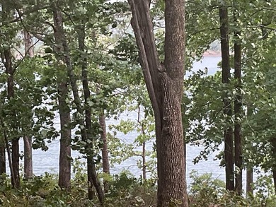 LAKEFRONT CABIN WITH 2 STALL PRIVATE DOCK & approx. 242 feet of - photo 7