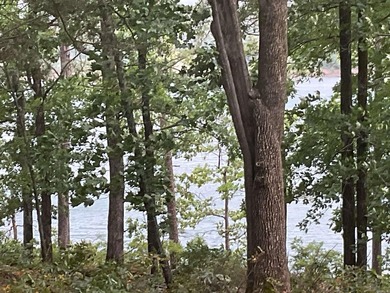 LAKEFRONT CABIN WITH 2 STALL PRIVATE DOCK & approx. 242 feet of - photo 8