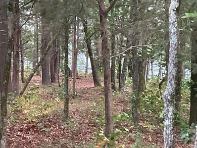 LAKEFRONT CABIN WITH 2 STALL PRIVATE DOCK & approx. 242 feet of - photo 9