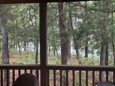 LAKEFRONT CABIN WITH 2 STALL PRIVATE DOCK & approx. 242 feet of - photo 10