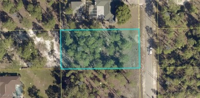 Lehigh Acres Area Lot For Sale in Lehigh Acres Florida