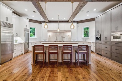 Once-in-a-generation Germantown estate behind a private gated - photo 7