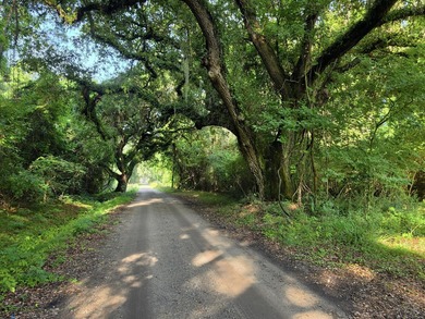 Village of McClellanville - Nice quarter acre lot on charming - photo 3