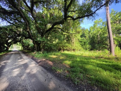 Village of McClellanville - Nice quarter acre lot on charming - photo 4
