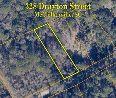 Village of McClellanville - Nice quarter acre lot on charming - photo 6