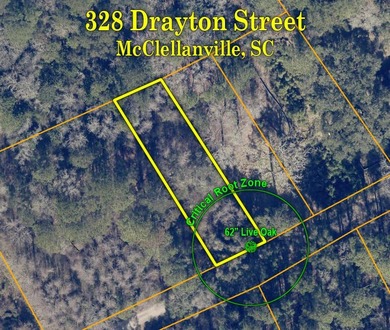 Village of McClellanville - Nice quarter acre lot on charming - photo 8