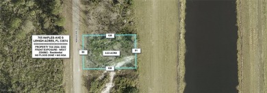 Lehigh Acres Area Lot For Sale in Lehigh Acres Florida