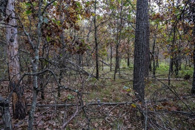 Two wooded and buildable lots in Castle Rock Estates subdivision - photo 11