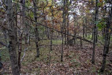 Two wooded and buildable lots in Castle Rock Estates subdivision - photo 13