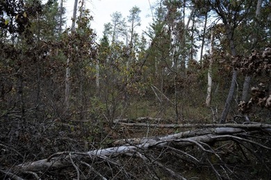 Two wooded and buildable lots in Castle Rock Estates subdivision - photo 14