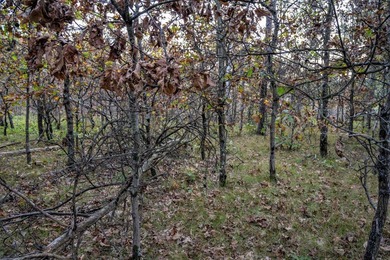 Two wooded and buildable lots in Castle Rock Estates subdivision - photo 15