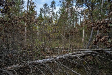Two wooded and buildable lots in Castle Rock Estates subdivision - photo 17