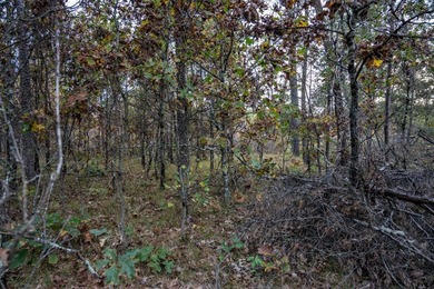 Two wooded and buildable lots in Castle Rock Estates subdivision - photo 18