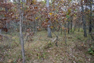 Two wooded and buildable lots in Castle Rock Estates subdivision - photo 20