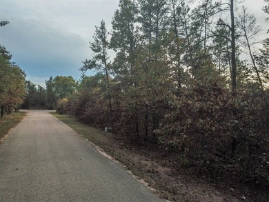 Two wooded and buildable lots in Castle Rock Estates subdivision - photo 21