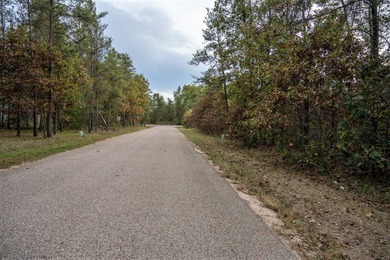 Two wooded and buildable lots in Castle Rock Estates subdivision - photo 22