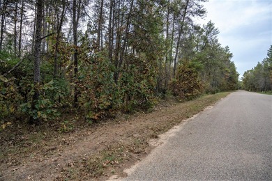 Two wooded and buildable lots in Castle Rock Estates subdivision - photo 23