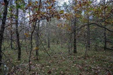 Two wooded and buildable lots in Castle Rock Estates subdivision - photo 26